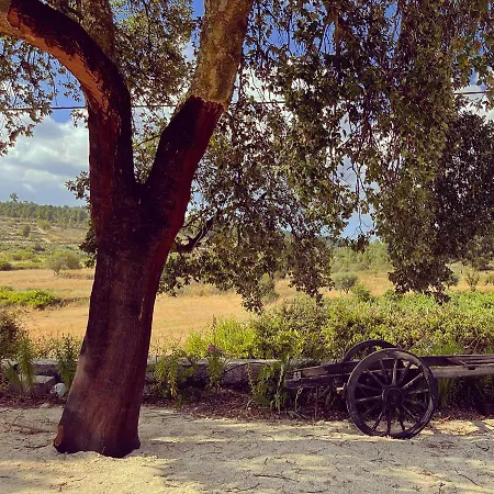 Quinta Da Corga Pensjonat *