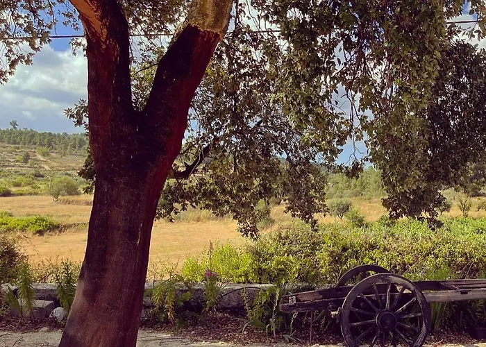 Quinta Da Corga Casa de hóspedes 3*
